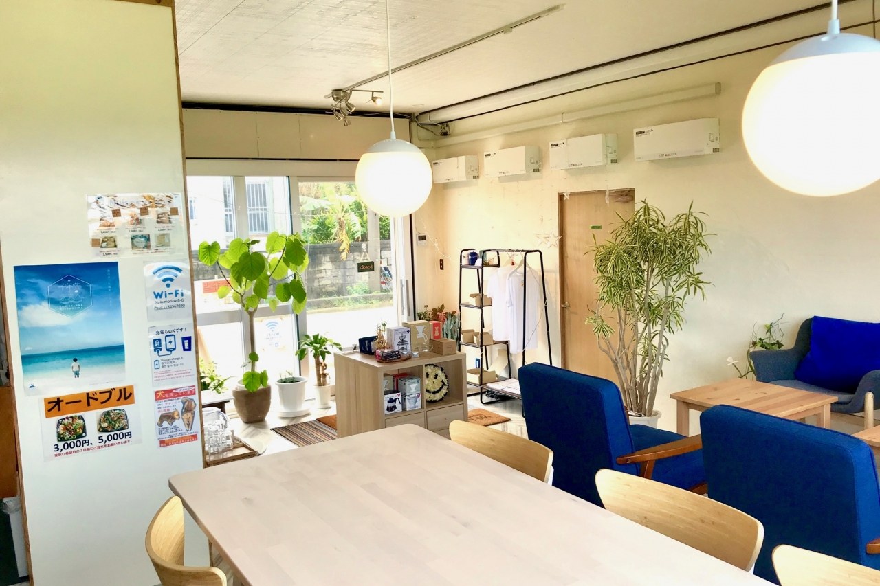 大きな窓と観葉植物のあるカフェの店内